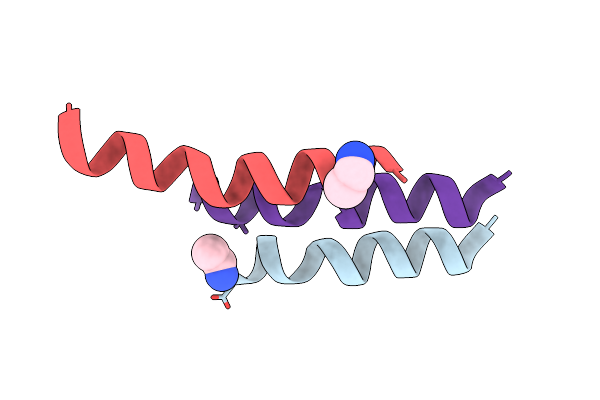 1AMT image