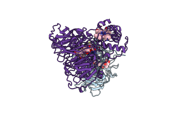1AOM image