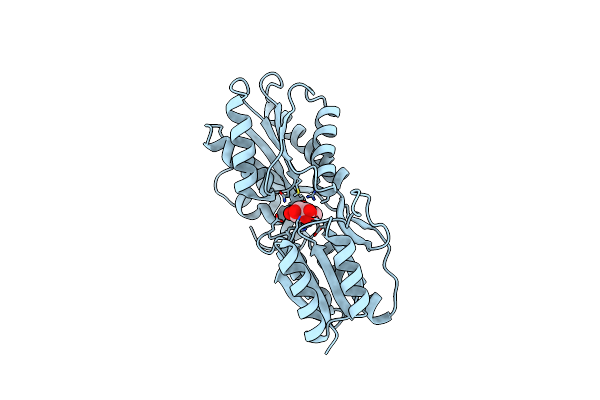 1APB image