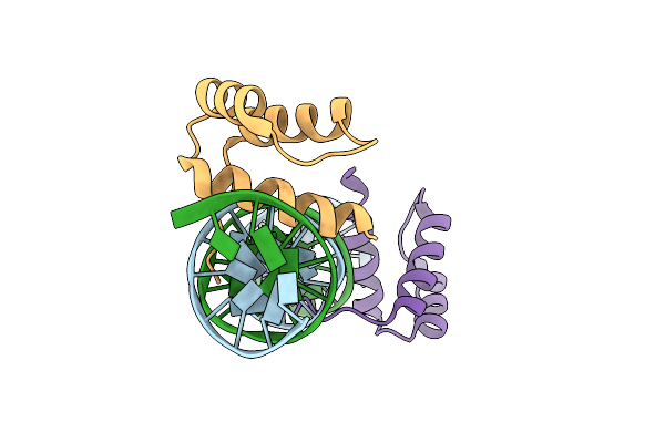 1APL image