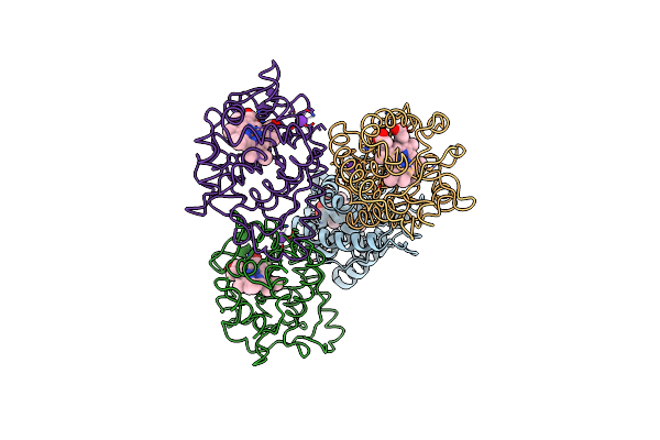 1APX image