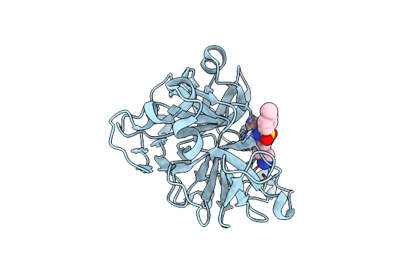 1ARC image
