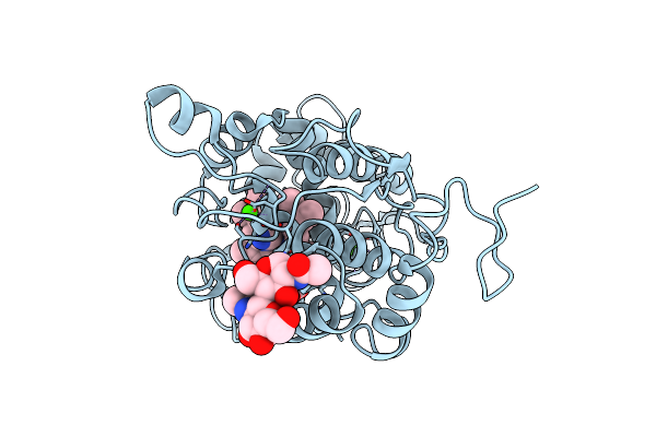 1ARV image