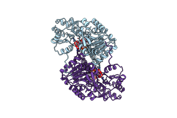 1ASM image