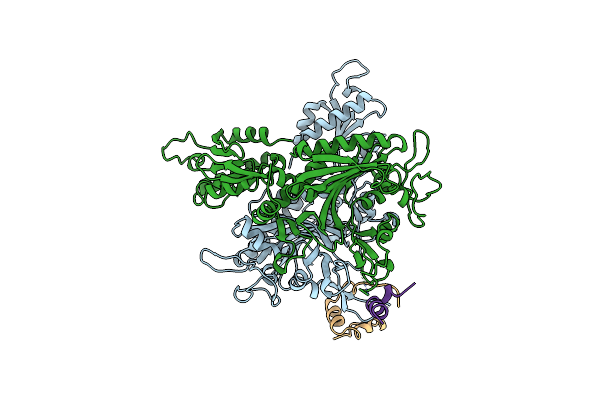 1ATI image