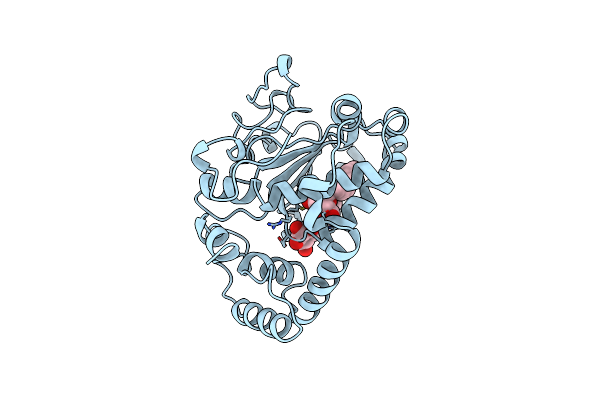 1AUA image