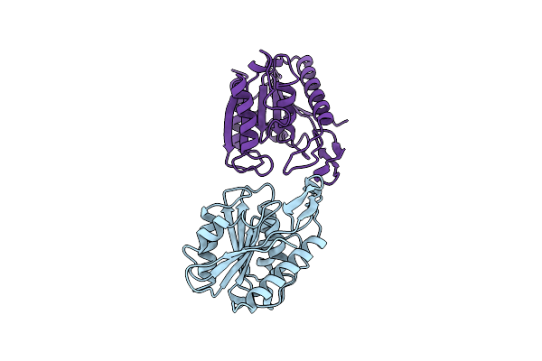 1AUO image