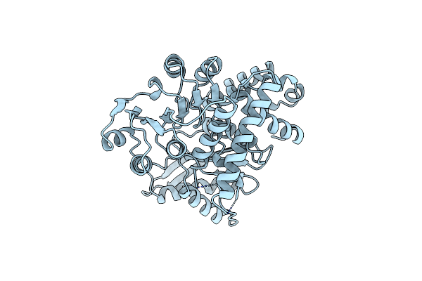 1AUP image