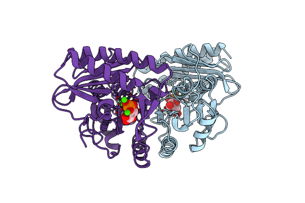 1AWB image