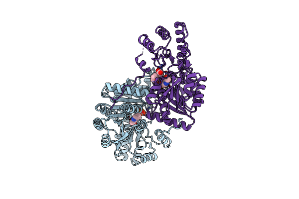 1AY8 image