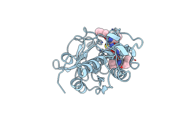1AYV image