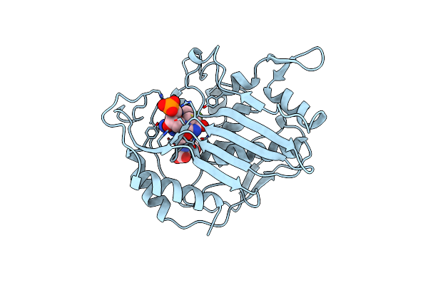 1B02 image