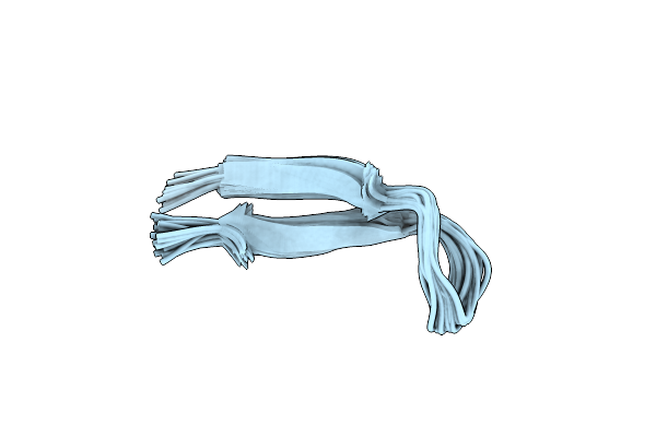 1B03 image