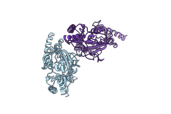 1B04 image