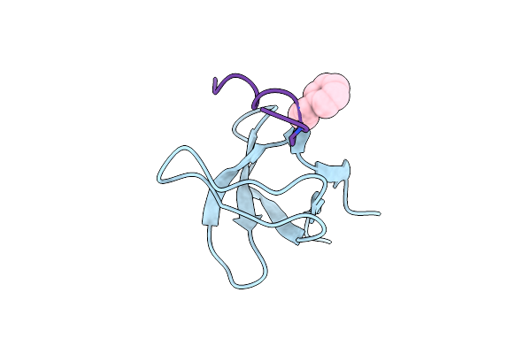 1B07 image