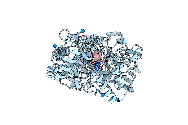 1B0H image