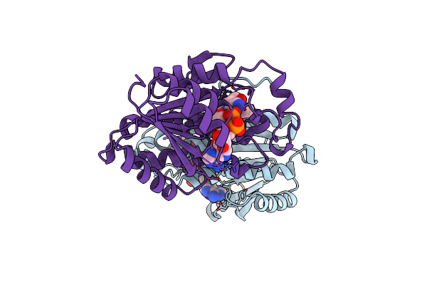 1B16 image