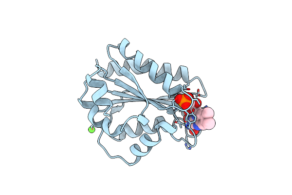 1B1C image