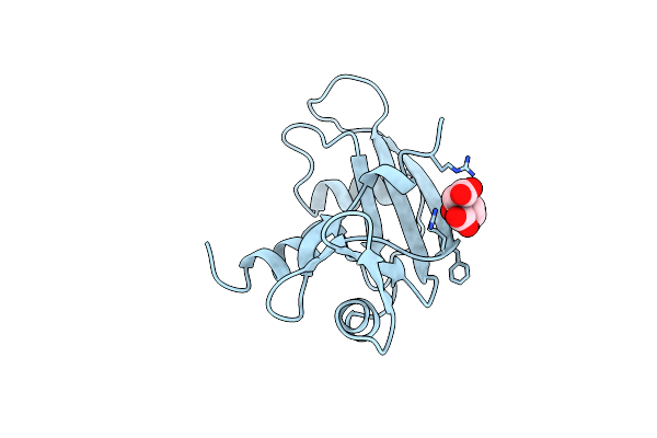1B1E image