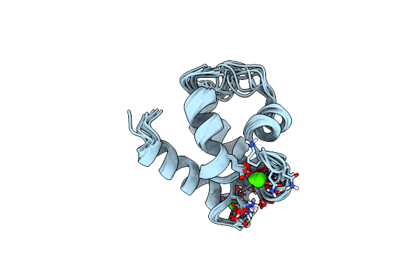 1B1G image