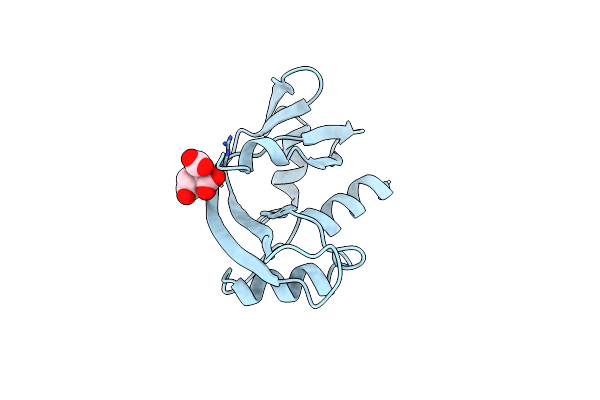 1B1I image