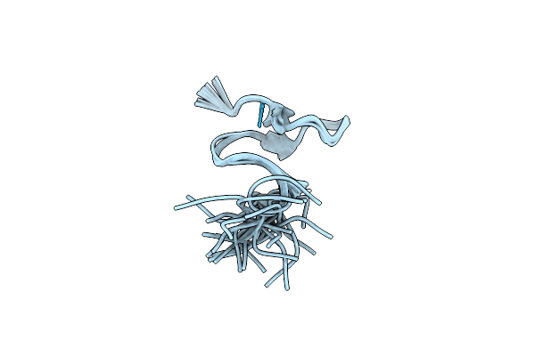 1B1V image