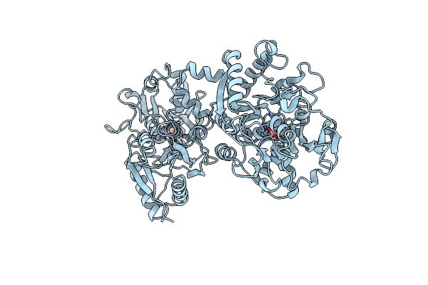 1B1X image
