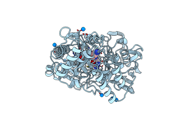 1B2H image