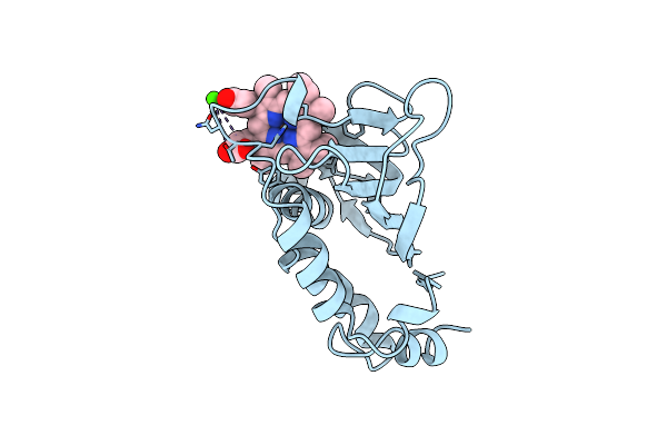 1B2V image
