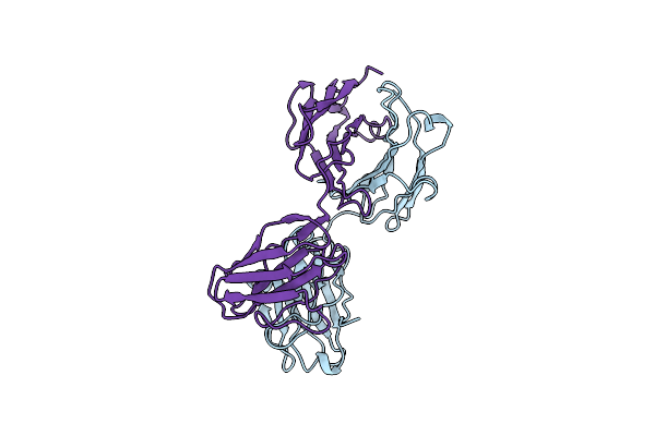 1B2W image