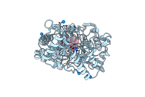 1B3H image