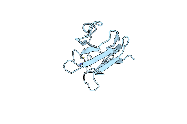 1B3I image