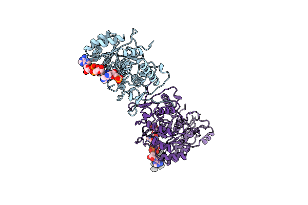 1B3O image