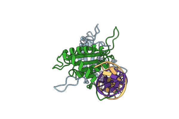 1B3T image