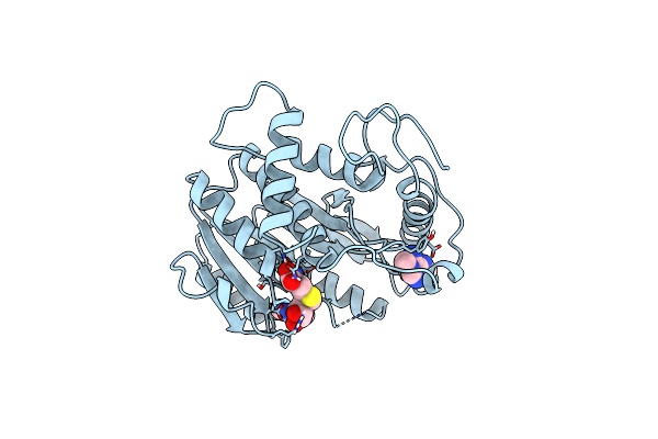 1B42 image