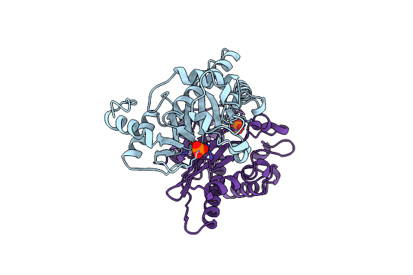 1B49 image