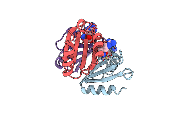 1B4B image