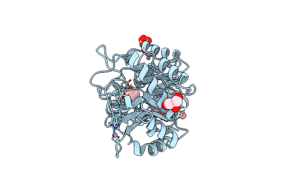 1B4E image