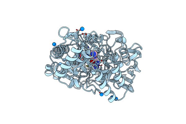 1B4H image