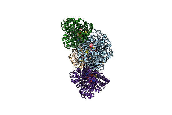 1B4N image