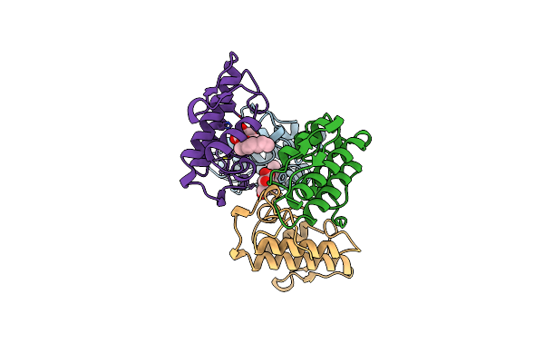 1B4W image