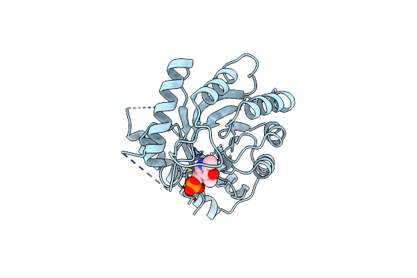 1B54 image