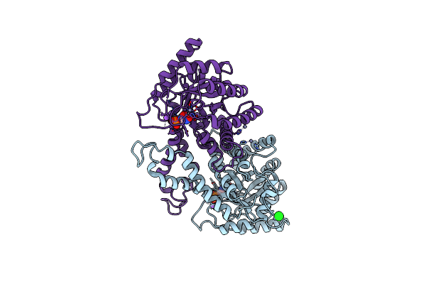 1B57 image