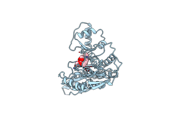 1B59 image