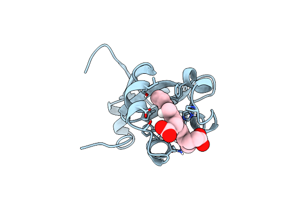 1B5B image