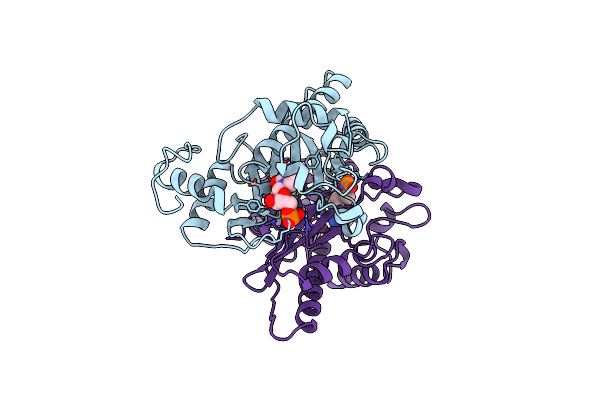1B5D image