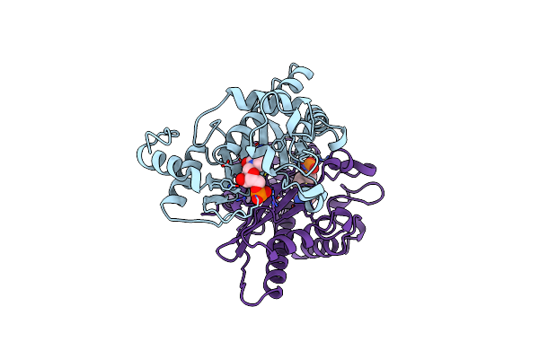 1B5E image