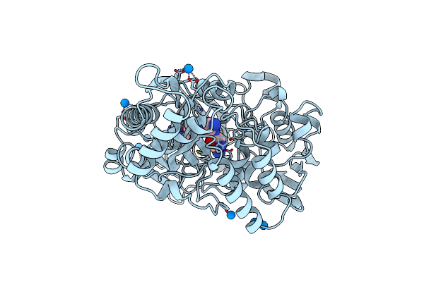 1B5H image