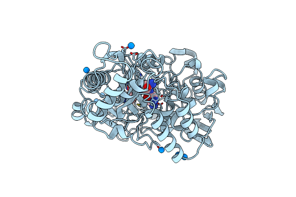 1B5I image