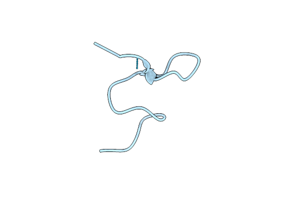 1B5N image